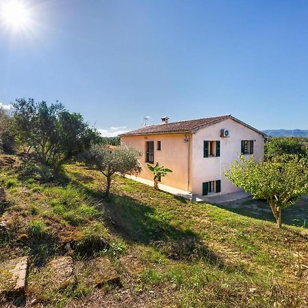 Villa Son Allarga Costitx  Dış mekan fotoğraf