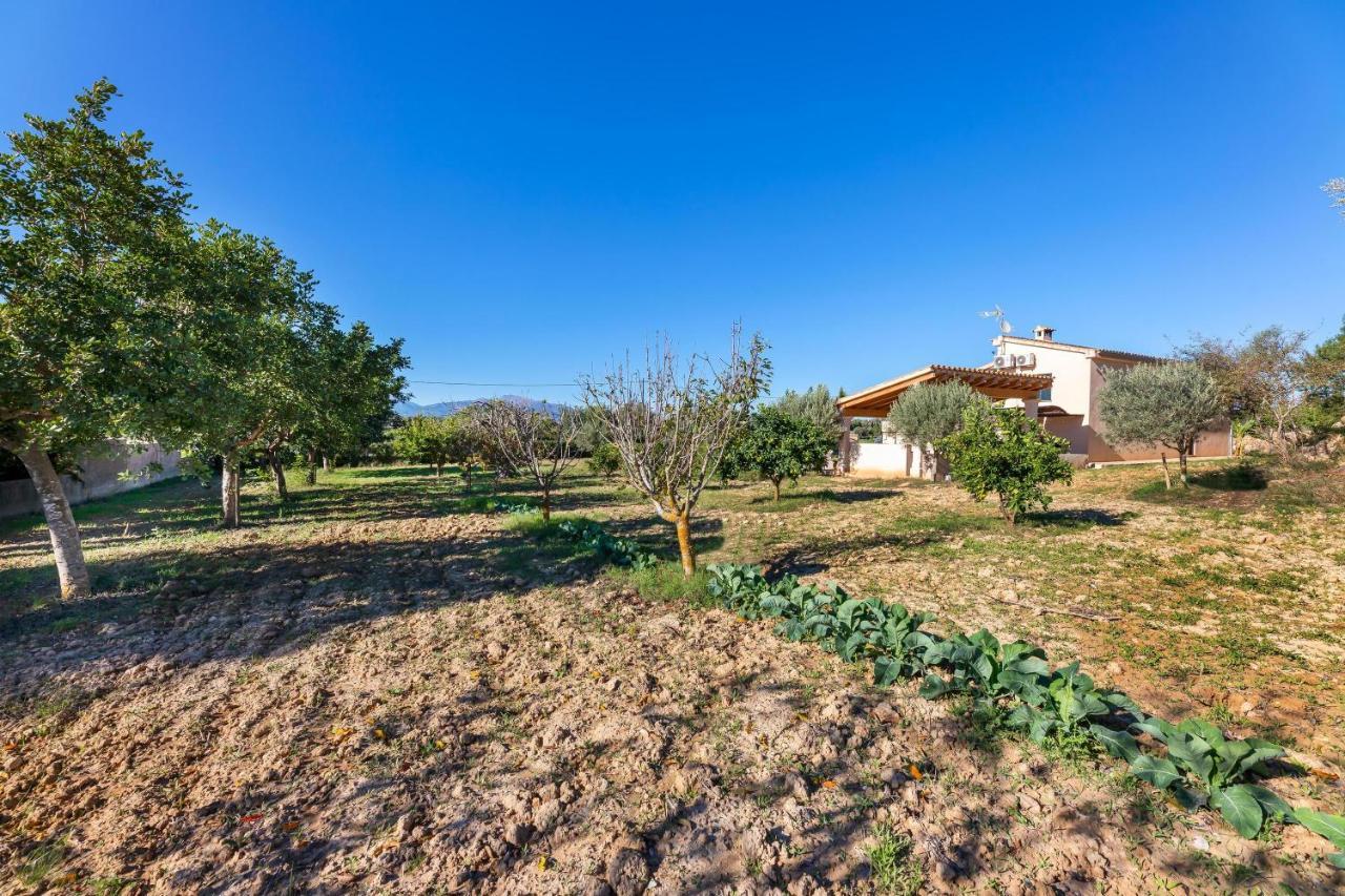 Villa Son Allarga Costitx  Dış mekan fotoğraf